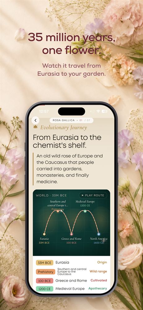 OnlyFlowers screen