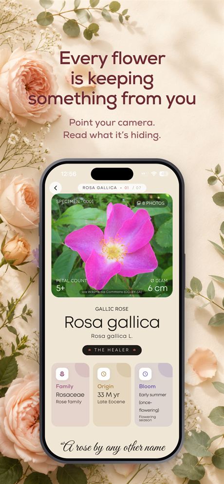 OnlyFlowers screen