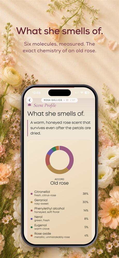 OnlyFlowers screen