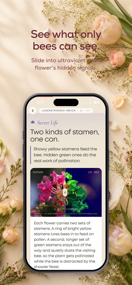 OnlyFlowers screen